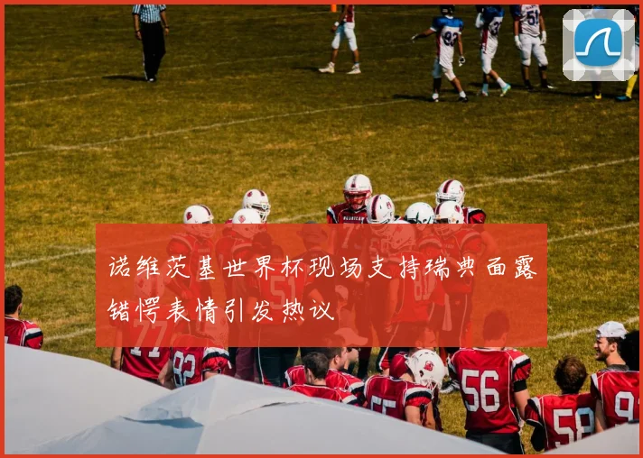 诺维茨基世界杯现场支持瑞典面露错愕表情引发热议